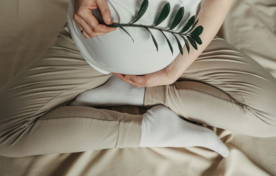 Impacto-da-Endometriose-na-Fertilidade-e-Opcoes-Disponiveis